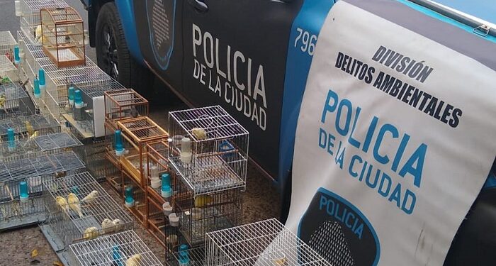 Rescatan 65 aves autóctonas en cautiverio en Coghlan