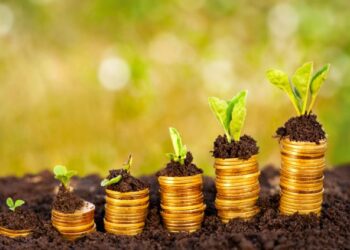 Bonos de carbono: el 50% de los productores locales no tiene conocimiento alguno del tema