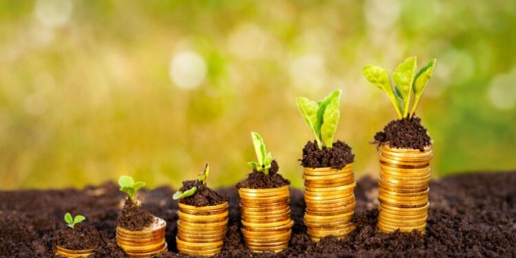 Bonos de carbono: el 50% de los productores locales no tiene conocimiento alguno del tema