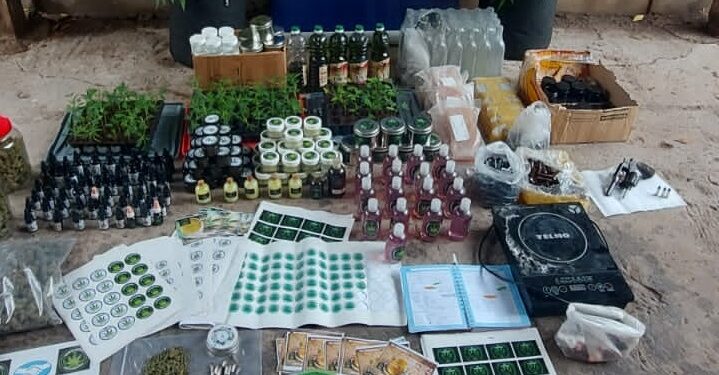 Desbarataron el laboratorio de «La Farmacéutica», una mujer que producía y vendía sustancias medicinales con cannabis sin autorización