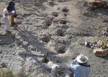 Avanza el Museo a Cielo Abierto en el Parque Huellas de Dinosaurios en Malargüe