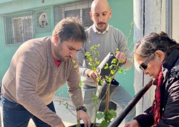 La Secretaría de Ambiente avanza con la recomposición ambiental del Barrio Mugica