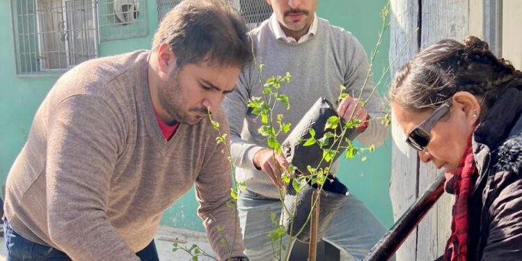 La Secretaría de Ambiente avanza con la recomposición ambiental del Barrio Mugica