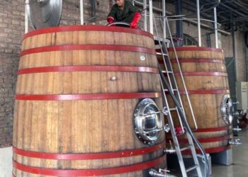Cinco recipientes de madera y un misterio resuelto: ¿Cuál es el mejor para tu vino favorito?