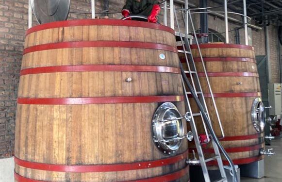 Cinco recipientes de madera y un misterio resuelto: ¿Cuál es el mejor para tu vino favorito?