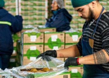 La Argentina exporta Kiwi de Mar y Sierras a España