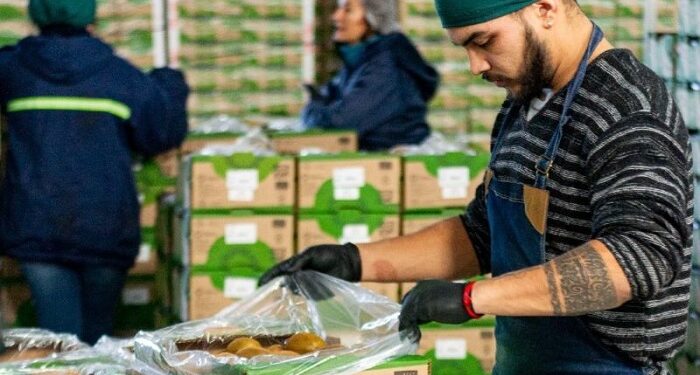 La Argentina exporta Kiwi de Mar y Sierras a España