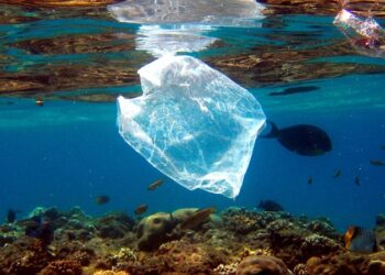 Filipinas vierte un tercio de los plásticos que flotan en los océanos