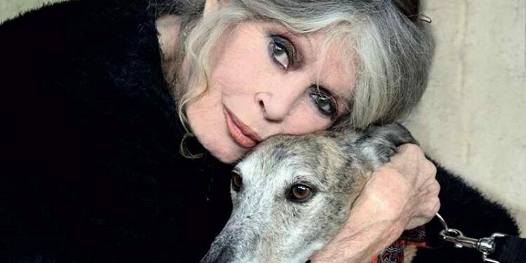 Brigitte Bardot fue atendida en su casa en Saint Tropez por dificultades respiratorias