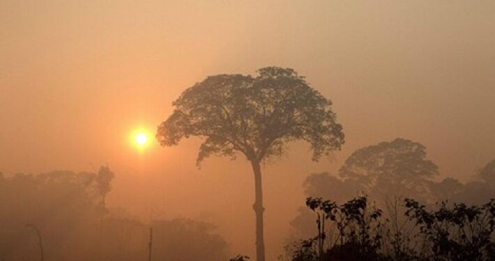 La Unión Europea anuncia programa de 35 millones para el Amazonia contra la deforestación