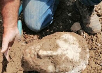 Hallan cabeza de mármol durante obras en una plaza de Roma