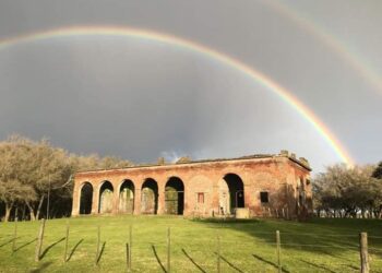 Vacaciones de invierno en Madariaga