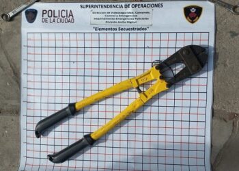 Detienen a «Los Ferreteros» expertos robaruedas de Villa Soldati