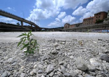 El Papa llama a «parar la guerra» contra la Naturaleza