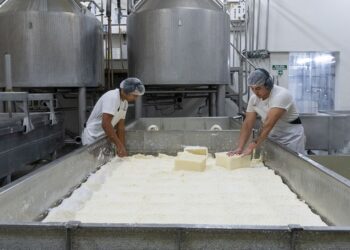 De Villa María a Brasil: Con apoyo de Industria y el INTI, la PyME Capilla del Señor desarrolló y exporta quesos sin lactosa