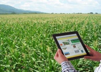 La Universidad Austral anuncia una nueva alianza para la Transformación Digital en el Agro