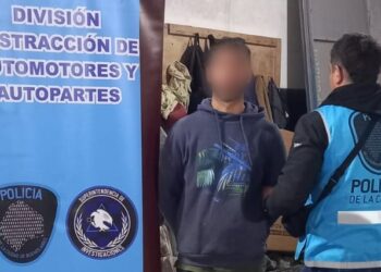 Un detenido y más de 160 autopartes ilegales secuestradas en un taller de Villa Lugano