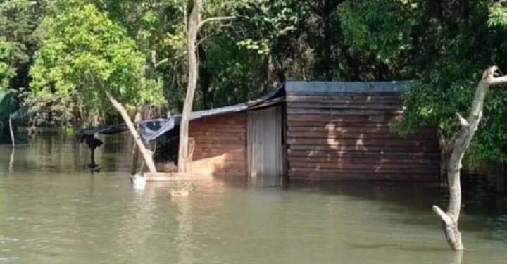 Inundaciones y evacuados en el Litoral por las crecidas de los ríos Iguazú, Paraná y Uruguay