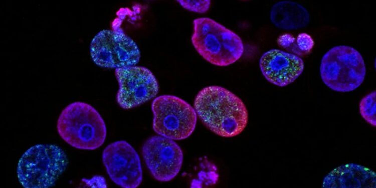 Identifican la reacción química que pudo haber dado origen a la vida