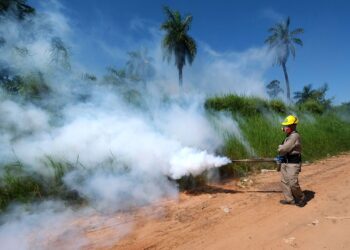 Misiones continúa con los operativos para prevenir el aumento en los casos de dengue