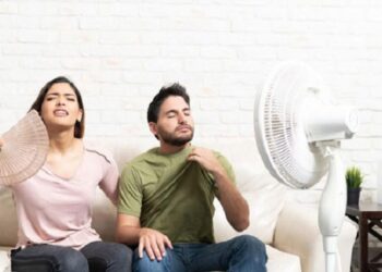 Los peligros del calor para la vivienda y sus habitantes