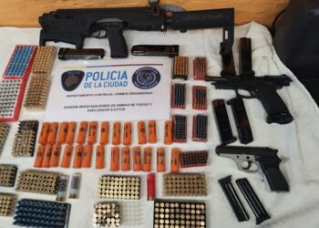 Rescatan trece perros y secuestran arsenal en casa de detenido tras un choque