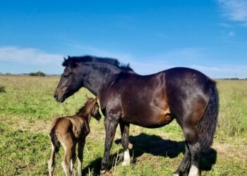 Tandil cuenta su historia en cada sierra y en cada rincón