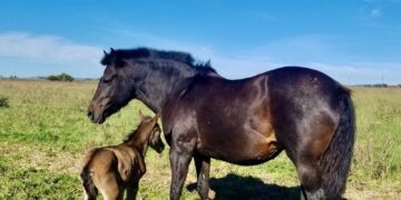 Tandil cuenta su historia en cada sierra y en cada rincón