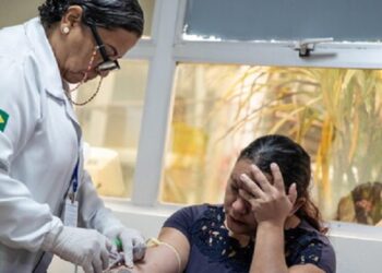 En Brasil, en 2024, el Dengue se incrementó en un 320%
