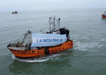 “Chubut crea una aduana interior y excede la jurisdicción que tiene, en contra de lo que establece la Constitución Nacional”