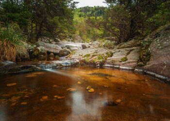 FEHGRA: Panorama de la ocupación hotelera para el Fin de Semana Largo de Carnaval