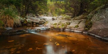 FEHGRA: Panorama de la ocupación hotelera para el Fin de Semana Largo de Carnaval