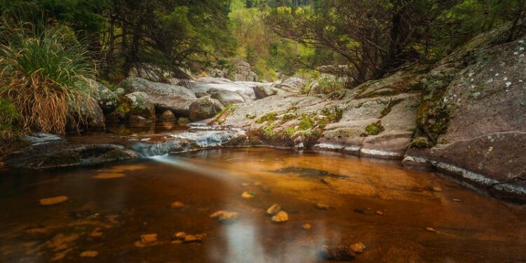 FEHGRA: Panorama de la ocupación hotelera para el Fin de Semana Largo de Carnaval