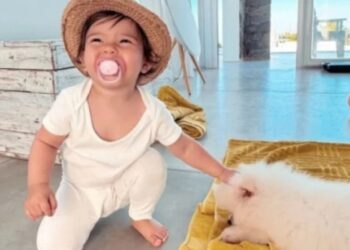 Por qué Sarah Burlando heredó el perro nuevo de Susana Giménez