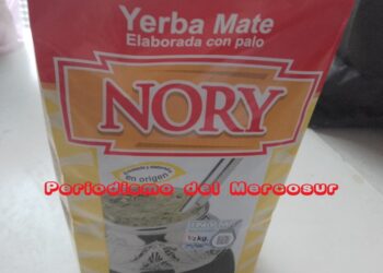 «La mayoría de productores de yerba mate no está cosechando», afirmó uno de los directores del INYM