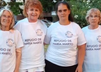 Mujeres marplatenses juntan latas para ayudar a un refugio de perros