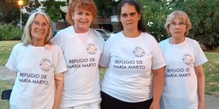 Mujeres marplatenses juntan latas para ayudar a un refugio de perros