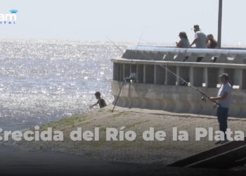 Sigue el alerta por crecidas del Río de la Plata, que alcanzaría los 3.40 metros de altura