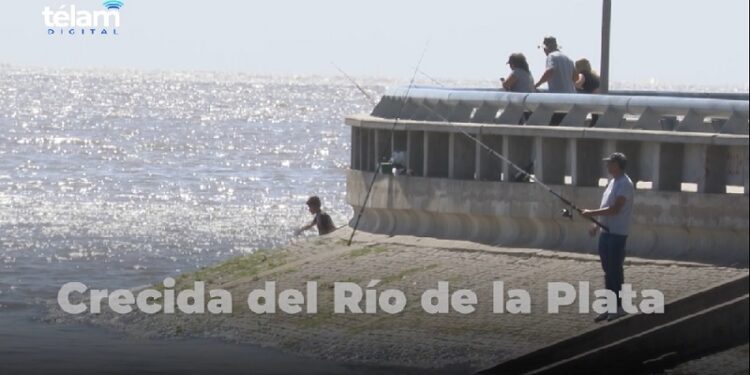 Sigue el alerta por crecidas del Río de la Plata, que alcanzaría los 3.40 metros de altura