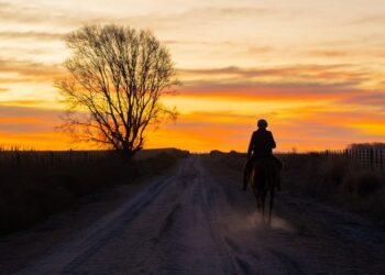 Se prevé un otoño con más lluvias para el litoral argentino y más cálido en el norte y la Patagonia