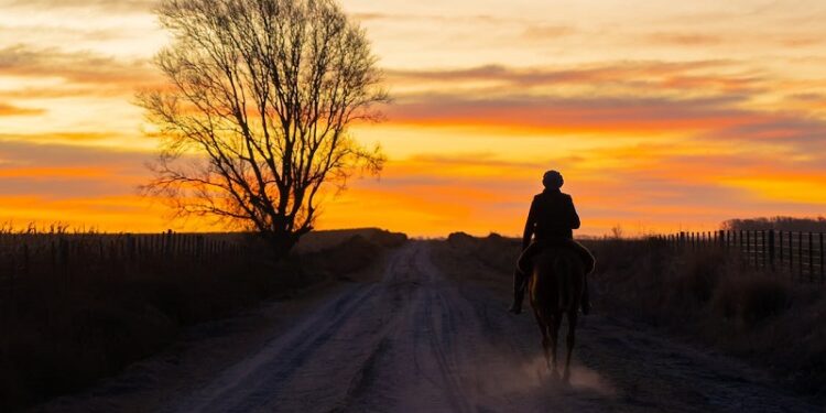 Se prevé un otoño con más lluvias para el litoral argentino y más cálido en el norte y la Patagonia