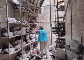 Secuestran casi 300 autopartes y clausuran talleres en Parque Avellaneda