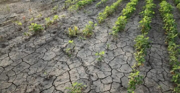 Alarma climática: el nivel de enfriamiento esperado por La Niña ha sido pocas veces visto en los últimos 25 años