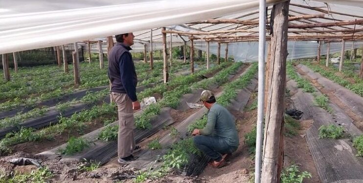 Corrientes: preocupación por el cierre del Instituto Nacional de Agronomía Familiar