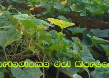 En ExpoAgro, el INTI exhibió su rol estratégico para el sector agroindustrial