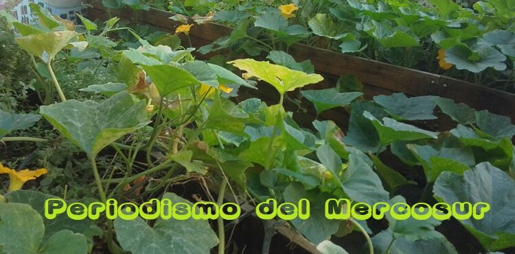 En ExpoAgro, el INTI exhibió su rol estratégico para el sector agroindustrial