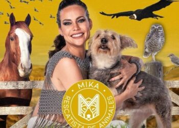 Telefe estrena el primer stream de animales