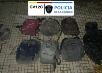 Caen dos ladrones que quisieron robar en una escuela de Villa Urquiza