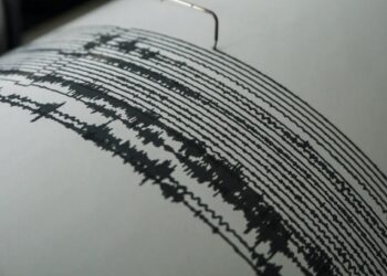 Un terremoto de magnitud 6 sacude la costa japonesa frente a Fukushima