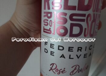Los mejores tours de vinos del Cono Sur para viajeros exigentes